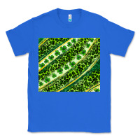 True Royal St. Patrick's Day leopard tumbler Classic Tee - Neo Western