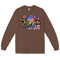 Rawrrr In The Usa 4th Of July Long Sleeve Tee | Teevron