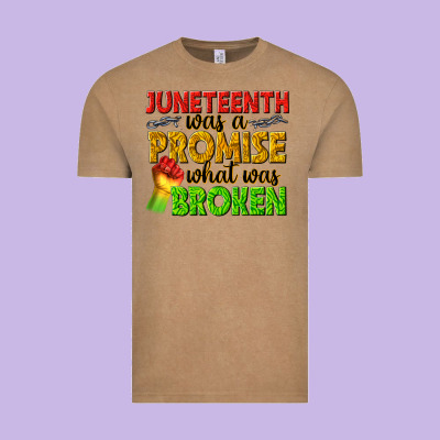 Vintage Tee juneteenth was a promise what was broken