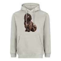 Moon Dust Boykin Spaniel Dog Heavyweight Hoodie - LillyAllenDesigns