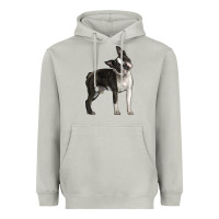 Moon Dust Boston Terrier Heavyweight Hoodie - LillyAllenDesigns