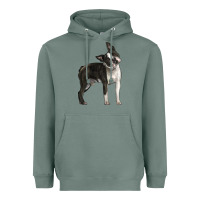 Sage Boston Terrier Heavyweight Hoodie - LillyAllenDesigns