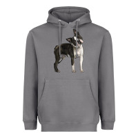 Storm Boston Terrier Heavyweight Hoodie - LillyAllenDesigns