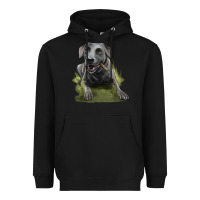Black Texas Blue Lacy Dog Heavyweight Hoodie - LillyAllenDesigns