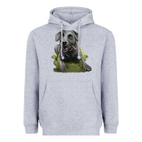 Heather Grey Texas Blue Lacy Dog Heavyweight Hoodie - LillyAllenDesigns
