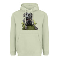 Texas Blue Lacy Dog Heavyweight Hoodie | Teevron