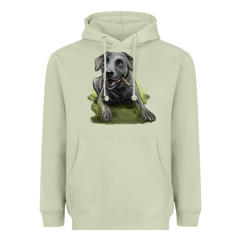 Texas Blue Lacy Dog Heavyweight Hoodie by LillyAllenDesigns | Teevron