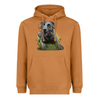 Meerkat Texas Blue Lacy Dog Heavyweight Hoodie - LillyAllenDesigns