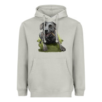 Moon Dust Texas Blue Lacy Dog Heavyweight Hoodie - LillyAllenDesigns