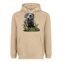Mushroom Texas Blue Lacy Dog Heavyweight Hoodie - LillyAllenDesigns