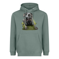 Sage Texas Blue Lacy Dog Heavyweight Hoodie - LillyAllenDesigns
