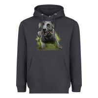 Smoke Texas Blue Lacy Dog Heavyweight Hoodie - LillyAllenDesigns