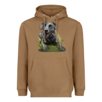 Toasted Coconut Texas Blue Lacy Dog Heavyweight Hoodie - LillyAllenDesigns