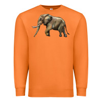 Carrot Elephant Premium Sweatshirt - LillyAllenDesigns