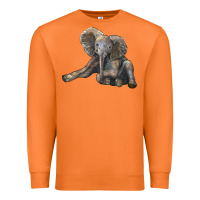 Carrot Baby Elephant Premium Sweatshirt - LillyAllenDesigns