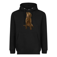 Black chesapeake bay retriever Heavyweight Hoodie - LillyAllenDesigns