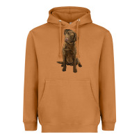 Meerkat chesapeake bay retriever Heavyweight Hoodie - LillyAllenDesigns