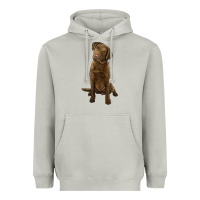Moon Dust chesapeake bay retriever Heavyweight Hoodie - LillyAllenDesigns