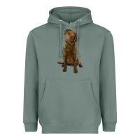 Sage chesapeake bay retriever Heavyweight Hoodie - LillyAllenDesigns