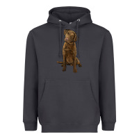 Smoke chesapeake bay retriever Heavyweight Hoodie - LillyAllenDesigns