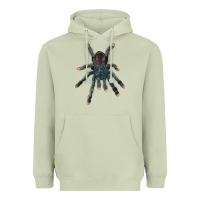 Matcha Pink Toe Tarantula Heavyweight Hoodie - LillyAllenDesigns
