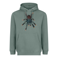 Sage Pink Toe Tarantula Heavyweight Hoodie - LillyAllenDesigns