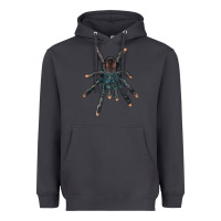 Smoke Pink Toe Tarantula Heavyweight Hoodie - LillyAllenDesigns