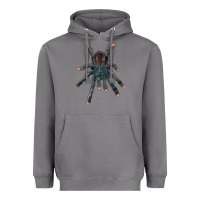 Storm Pink Toe Tarantula Heavyweight Hoodie - LillyAllenDesigns
