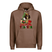 Chestnut very merry teacher skeleton Premium Hoodie - NancyCooperArtShop