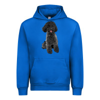 Cobalt black poodles dog Urban Hoodie - LillyAllenDesigns