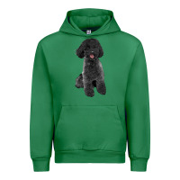 Emerald black poodles dog Urban Hoodie - LillyAllenDesigns