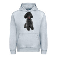 Heather Grey black poodles dog Urban Hoodie - LillyAllenDesigns