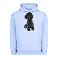 Pigment Grape Ice black poodles dog Urban Hoodie - LillyAllenDesigns