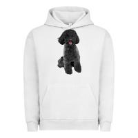 Pigment Lunar Rock black poodles dog Urban Hoodie - LillyAllenDesigns