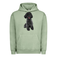 Pigment Oil Green black poodles dog Urban Hoodie - LillyAllenDesigns