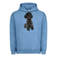 Pigment Pebble Blue black poodles dog Urban Hoodie - LillyAllenDesigns