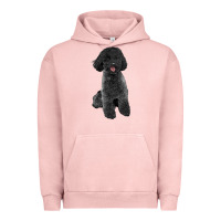 Pigment Salmon black poodles dog Urban Hoodie - LillyAllenDesigns