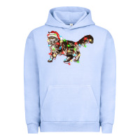 Christmas Christmas Maine Coon Cat Cat Urban Hoodie | Teevron