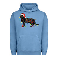 Christmas Bombay Cat Urban Hoodie | Teevron