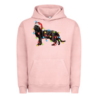 Pigment Salmon christmas bombay cat Urban Hoodie - LillyAllenDesigns