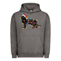 Pigment Tornado christmas bombay cat Urban Hoodie - LillyAllenDesigns