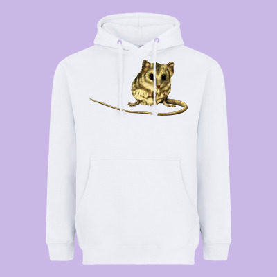 Dunnart Heavyweight Hoodie Designed By Lillyallendesigns
