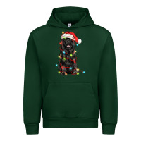 Forest Green christmas newfoundland dog Urban Hoodie - LillyAllenDesigns