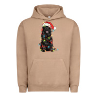 Pigment Burro christmas newfoundland dog Urban Hoodie - LillyAllenDesigns