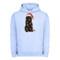 Pigment Grape Ice christmas newfoundland dog Urban Hoodie - LillyAllenDesigns