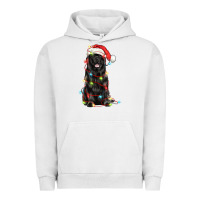 Pigment Lunar Rock christmas newfoundland dog Urban Hoodie - LillyAllenDesigns