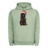 Pigment Oil Green christmas newfoundland dog Urban Hoodie - LillyAllenDesigns
