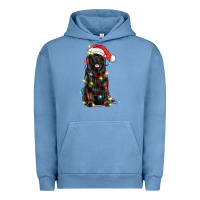 Pigment Pebble Blue christmas newfoundland dog Urban Hoodie - LillyAllenDesigns
