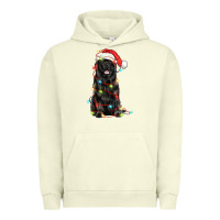 Christmas Newfoundland Dog Urban Hoodie | Teevron