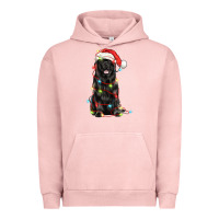 Pigment Salmon christmas newfoundland dog Urban Hoodie - LillyAllenDesigns